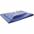 Soto Beauty W6004 Protective Tarp - 8x10 SO3191499